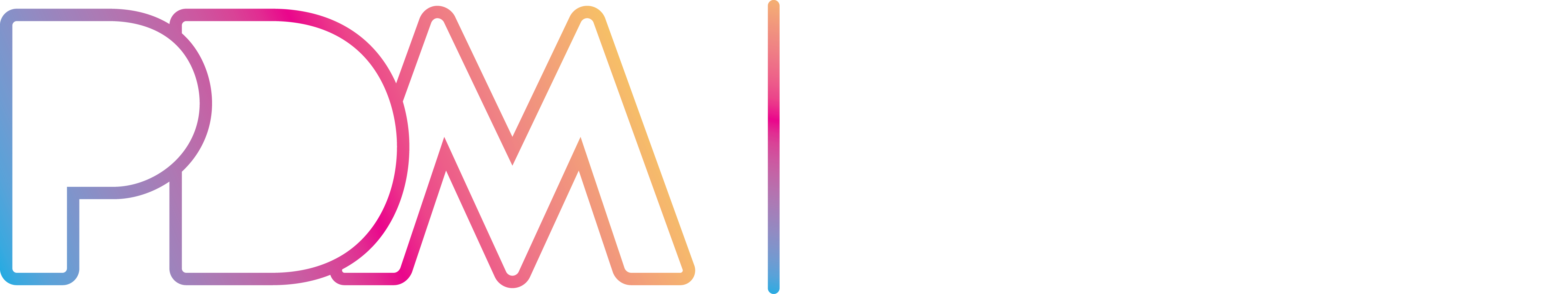 PDM Logo